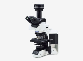 BX53 Upright Microscope